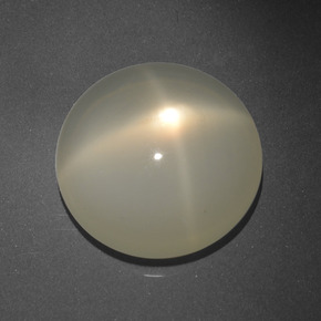 Piedra de luna estrella crema natural de 16,68 ct, corte redondo, translúcido