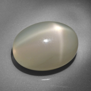 Piedra de luna estrella crema natural de 23,34 ct, corte óvalo, translúcido