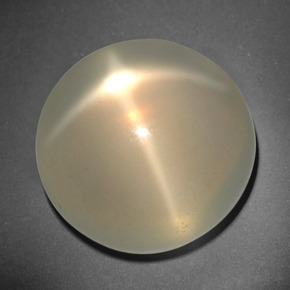 Piedra de luna estrella crema natural de 26,12 ct, corte redondo, translúcido