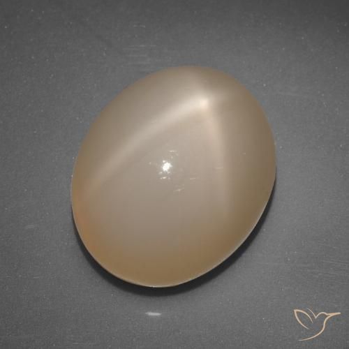 6.89ct Natural Naranja medio Piedra lunar estrella, Ovalada, Translúcido