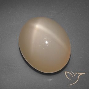 Piedra lunar estrella Naranja medio natural de 6.89 ct, Ovalada, Translúcido