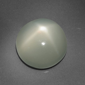 Piedra de luna estrella crema natural de 6,95 ct, corte redondo, translúcido