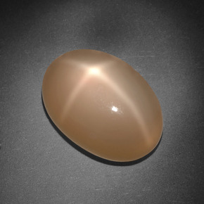 Piedra de luna estrella naranja natural de 8,01 ct, corte óvalo, translúcido