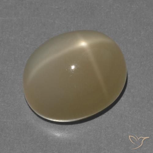 8.56ct Natural Naranja marrón Piedra lunar estrella, Ovalada, Translúcido