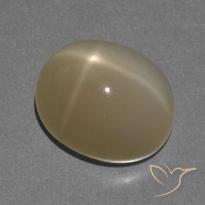 Piedra lunar estrella Naranja marrón natural de 8.56 ct, Ovalada, Translúcido