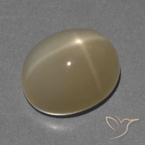 Piedra lunar estrella Naranja marrón natural de 8.56 ct, Ovalada, Translúcido