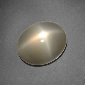 Piedra de luna estrella crema natural de 6,62 ct, corte óvalo, translúcido
