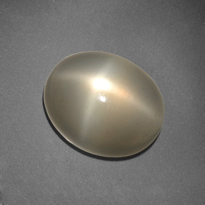 Piedra de luna estrella crema natural de 6,62 ct, corte óvalo, translúcido