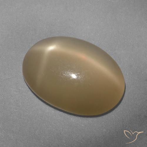 5.33ct Natural Naranja oscuro medio Piedra lunar estrella, Ovalada, Translúcido