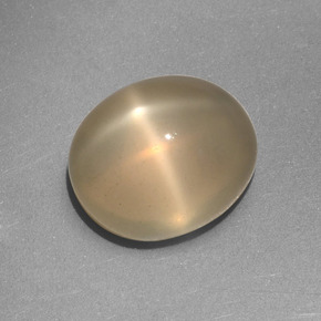 Piedra lunar estrella Crema natural de 5.25 ct, Corte Óvalo, Translúcido