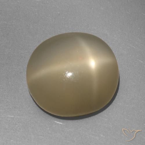 6.41ct Natural Naranja marrón Piedra lunar estrella, Ovalada, Translúcido, Photo A