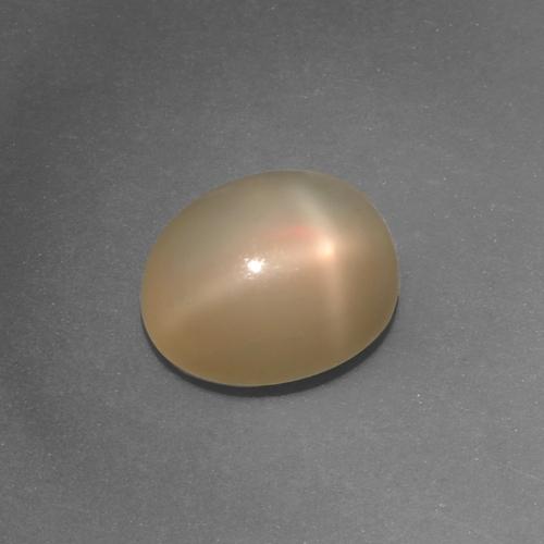 Piedra de luna estrella naranja natural de 4,36 ct, corte óvalo, translúcido