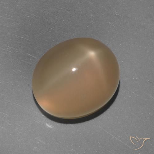 5.84ct Natural Naranja oscuro medio Piedra lunar estrella, Ovalada, Translúcido