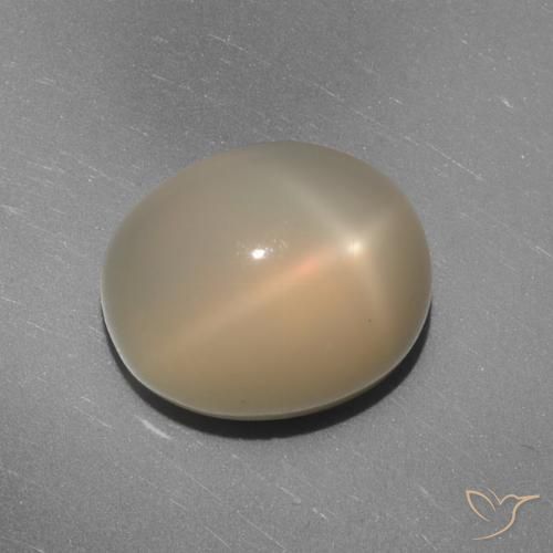 7.02ct Natural Naranja claro medio Piedra lunar estrella, Ovalada, Translúcido