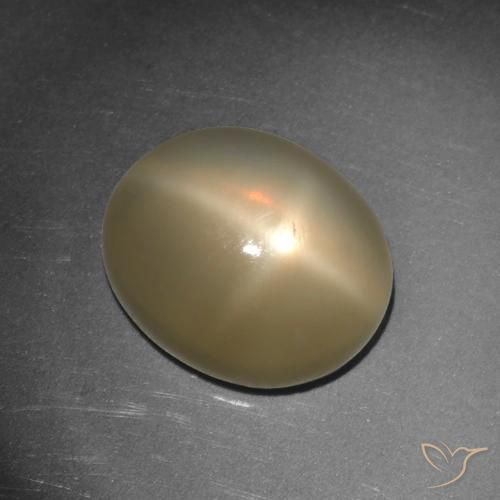 5.65ct Natural Naranja oscuro medio Piedra lunar estrella, Ovalada, Translúcido