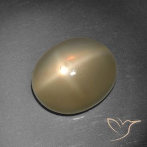 Piedra lunar estrella Naranja oscuro medio natural de 5.65 ct, Ovalada, Translúcido