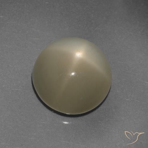 9.72ct Natural Marrón café claro Piedra lunar estrella, Redondo, Translúcido