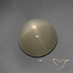 Piedra lunar estrella Marrón café claro natural de 9.72 ct, Redondo, Translúcido