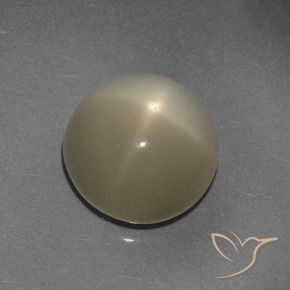 Piedra lunar estrella Marrón café claro natural de 9.72 ct, Redondo, Translúcido