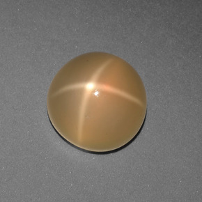 Piedra de luna estrella naranja natural de 3,78 ct, corte redondo, translúcido
