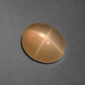 Piedra de luna estrella naranja natural de 3,01 ct, corte óvalo, translúcido