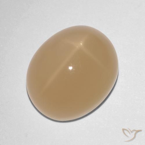 7.88ct Natural Naranja cantaloupe Piedra lunar estrella, Ovalada, Translúcido