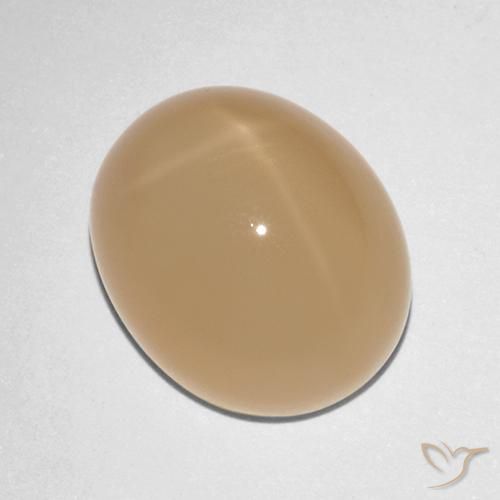 Piedra lunar estrella Naranja cantaloupe natural de 7.88 ct, Ovalada, Translúcido