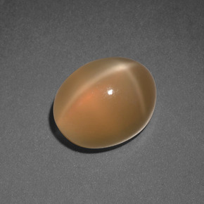 Piedra de luna estrella naranja natural de 3,69 ct, corte óvalo, translúcido