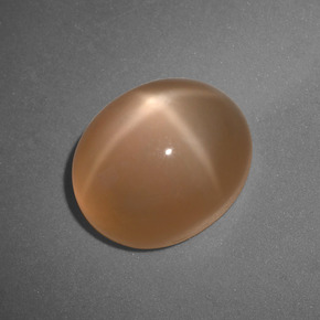 Piedra de luna estrella naranja natural de 6,04 ct, corte óvalo, translúcido