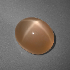 Piedra de luna estrella naranja natural de 6,04 ct, corte óvalo, translúcido