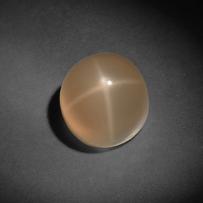 Piedra de luna estrella crema natural de 7,13 ct, corte redondo, translúcido