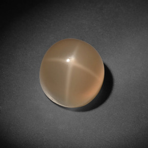 Piedra de luna estrella crema natural de 7,13 ct, corte redondo, translúcido