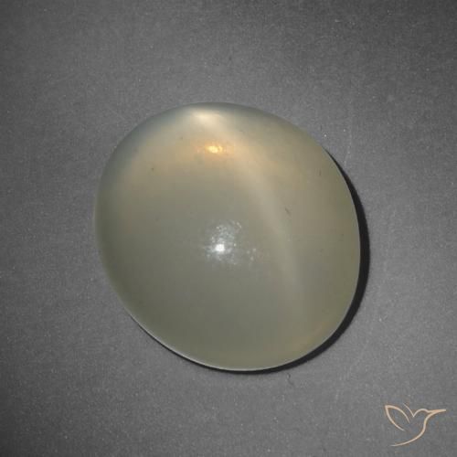 10.38ct Natural Amarillo claro Piedra lunar estrella, Ovalada, Translúcido