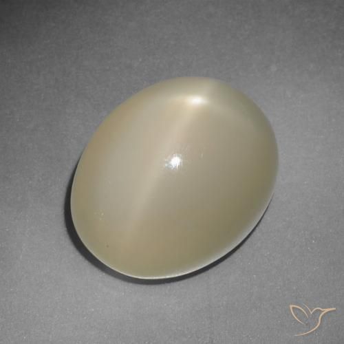 Piedra de luna estrella amarillo natural de 12,22 ct, corte óvalo, translúcido