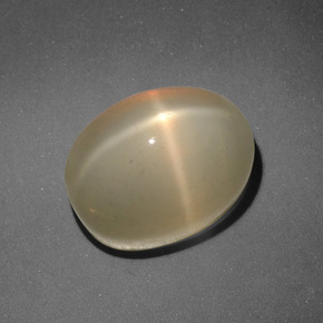 Piedra de luna estrella naranja natural de 7,31 ct, corte óvalo, translúcido