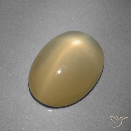 5.16ct Natural Amarillo dijón Piedra lunar estrella, Ovalada, Translúcido