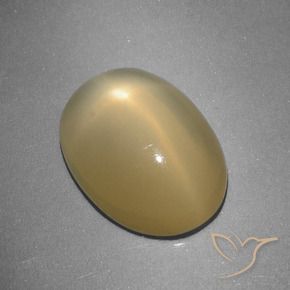 Piedra lunar estrella Amarillo dijón natural de 5.16 ct, Ovalada, Translúcido