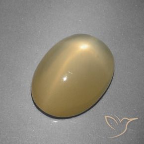 Piedra lunar estrella Amarillo dijón natural de 5.16 ct, Ovalada, Translúcido