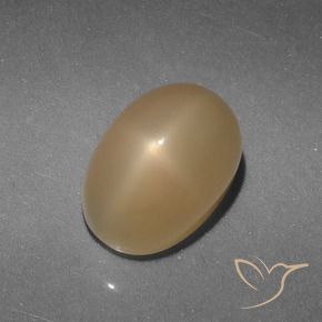 Piedra lunar estrella Oro natural de 5.21 ct, Corte Óvalo, Translúcido