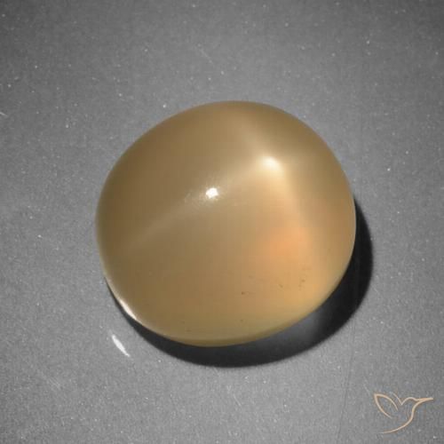 6.73ct Natural Naranja medio Piedra lunar estrella, Ovalada, Translúcido, Photo A