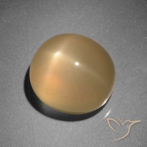 Piedra lunar estrella Naranja medio natural de 6.73 ct, Ovalada, Translúcido