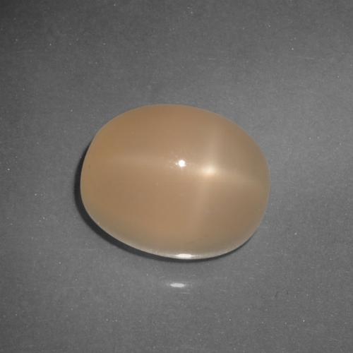 Piedra lunar estrella Naranja medio natural de 6.21 ct, Corte Óvalo, Translúcido