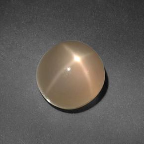 Piedra de luna estrella crema natural de 4,98 ct, corte redondo, translúcido
