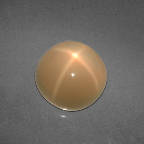Piedra de luna estrella crema natural de 4,57 ct, corte redondo, translúcido
