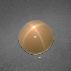 Piedra de luna estrella crema natural de 4,57 ct, corte redondo, translúcido