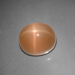 Piedra de luna estrella naranja natural de 5,07 ct, corte óvalo, translúcido