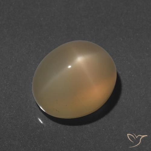 9.66ct Natural Dorado durazno claro Piedra lunar estrella, Ovalada, Translúcido
