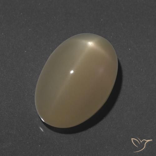 9.46ct Natural Naranja oscuro medio Piedra lunar estrella, Ovalada, Translúcido