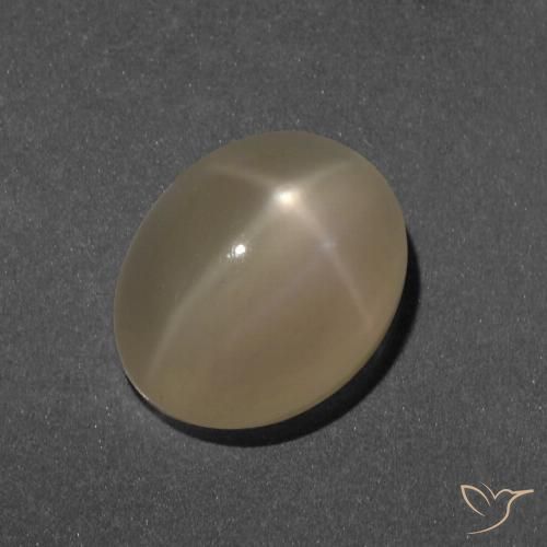 5.19ct Natural Naranja marrón Piedra lunar estrella, Ovalada, Translúcido