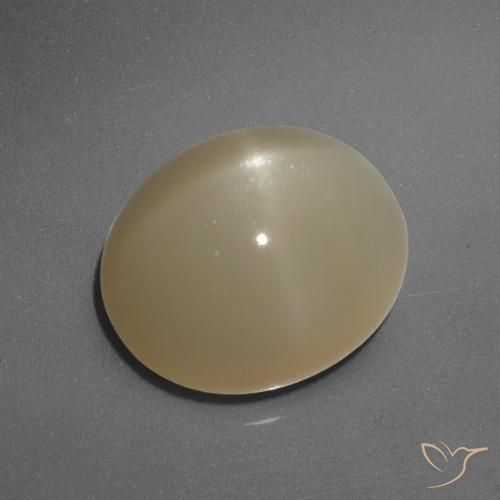 6.05ct Natural Naranja oscuro medio Piedra lunar estrella, Ovalada, Translúcido